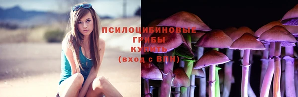 молекула духа Абинск