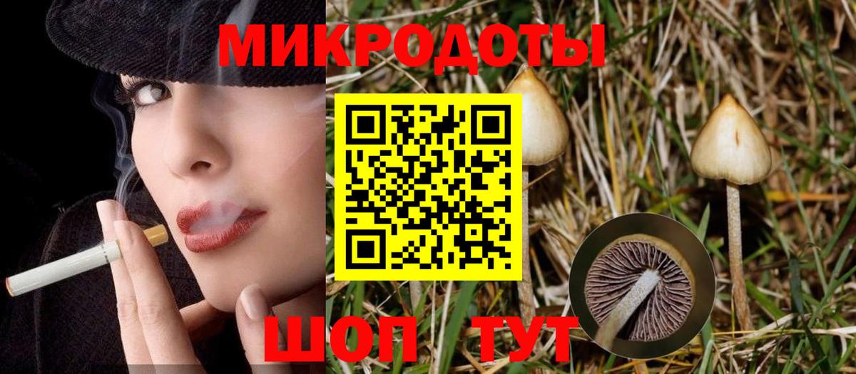 Псилоцибиновые грибы мицелий Барнаул