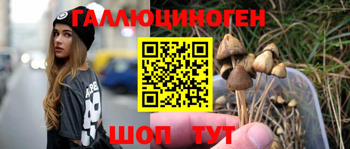 Барнаул  Галлюциногенные грибы мухоморы  Вход с VPN 